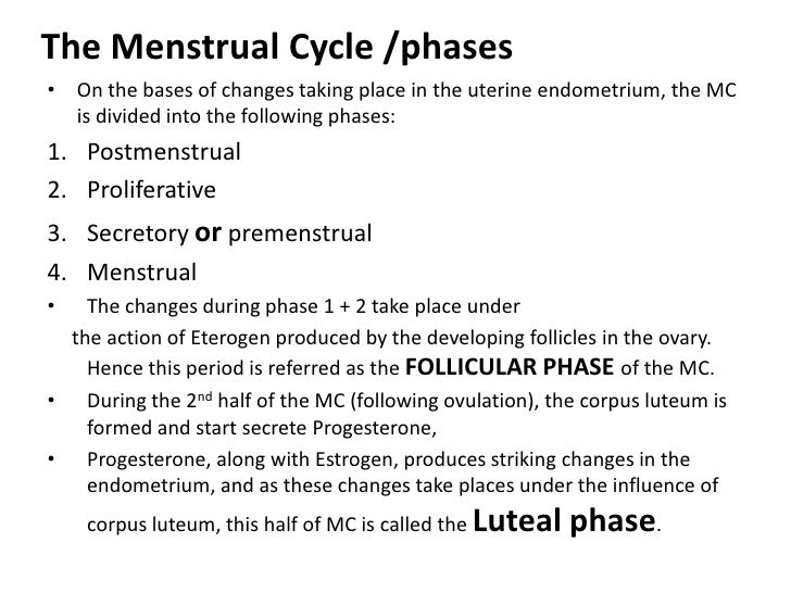 Webcam Pussy Pics Is It Safe To Have Sex During Periods
